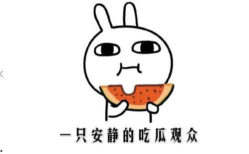 今天吃瓜是什么意思,网络热词背后的文化现象